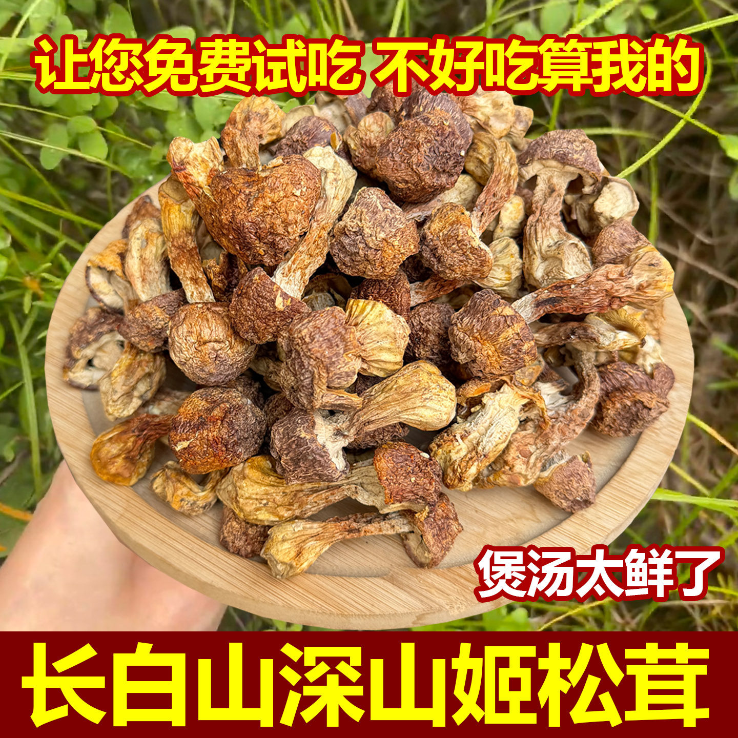 深山姬松茸干货特级东北野生姬松茸无硫正品巴西蘑菇山珍菌子煲汤
