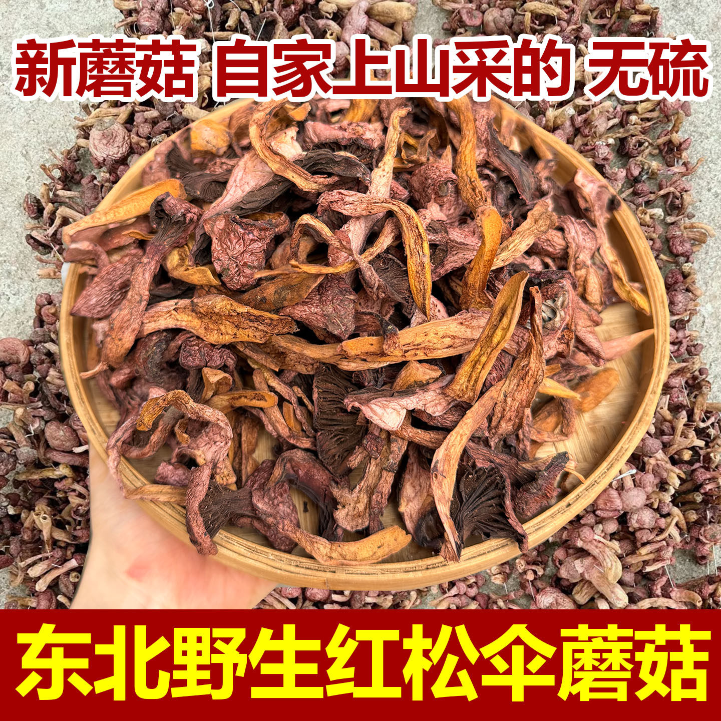 红蘑东北野生蘑菇红松伞干货长白山肉蘑农家晾晒松蘑鸡血蘑红蘑菇