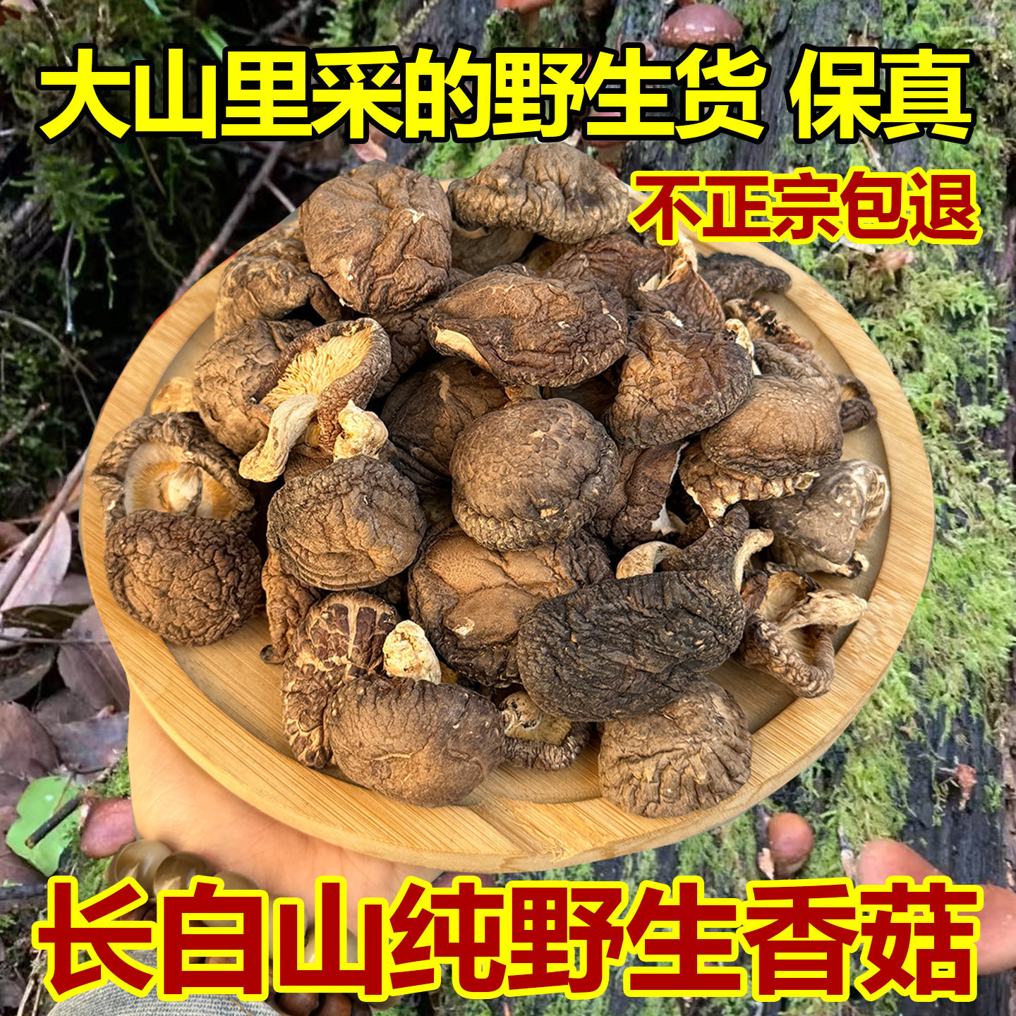 东北特产长白山纯野生香菇干货花菇深山采摘冬菇特级珍珠香菇打粉