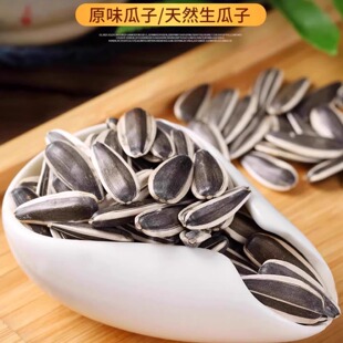 汤原县龙江宝山大哥东北特产饱满坚果大颗粒原味瓜子250gX2袋