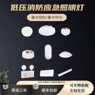 消防A型应急照明灯筒灯吸顶灯36v集中控制双头灯低压龙泰凯铭井伦