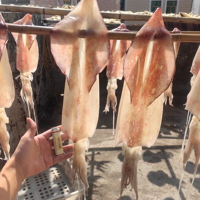 汕尾本港特产纯天然自晒超特大鱿鱼干可炒菜煲汤营养煮粥辅食包邮