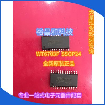 WT6703F SSOP24 全新原装正品 现货