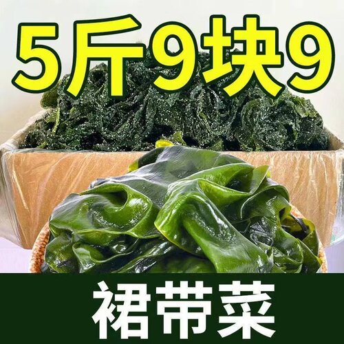 【23年精品菜】盐渍裙带菜精品大叶海带海白菜凉拌菜火锅食材