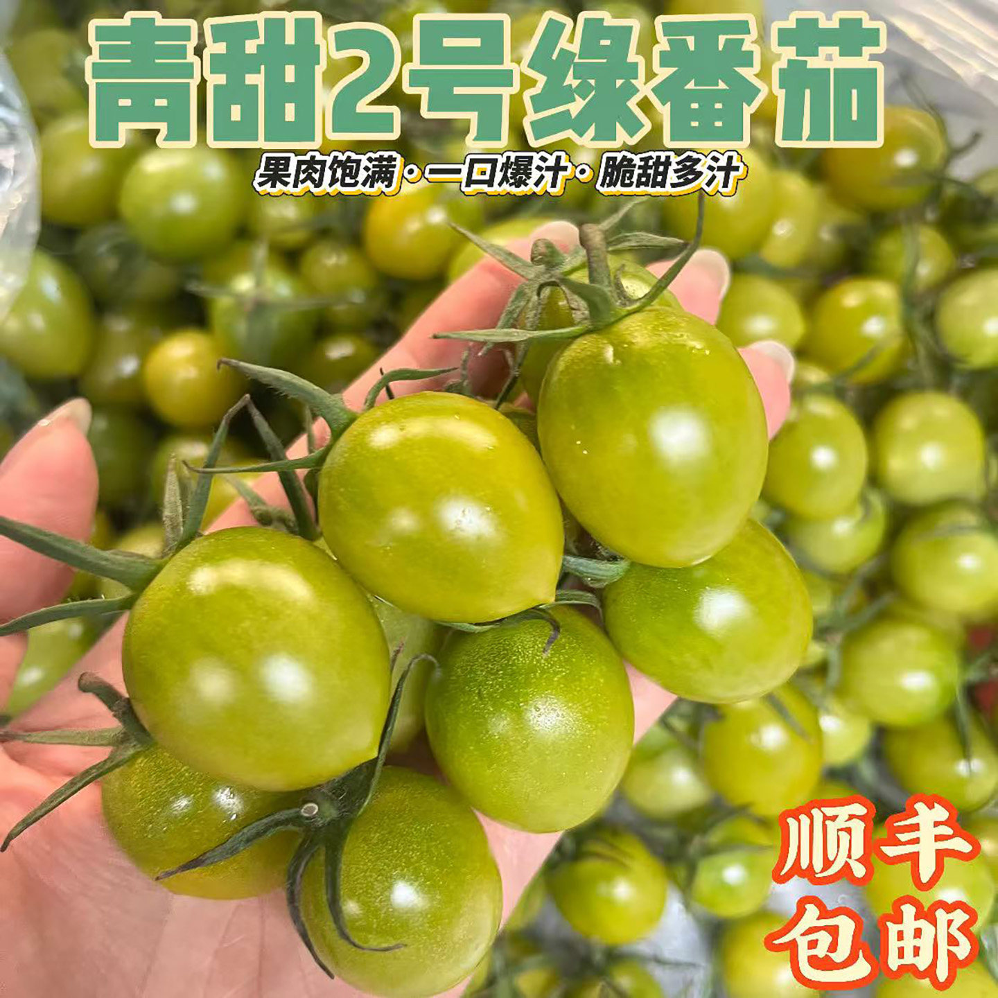 寿光青甜2号时令番茄产地直发新鲜采摘皮薄绿色小番茄圣女果顺丰
