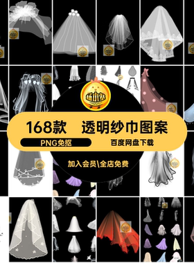 168款透明纱巾图案婚纱网装饰免婚礼唯美后期PS抠纱头素材白色