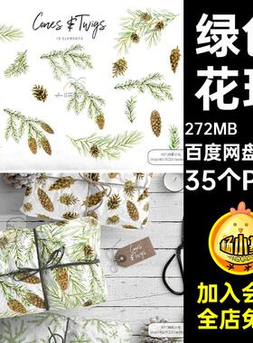 35个装饰花环枝绿色水彩35个PNG杉松树枝松果松果 35个扣锥枝
