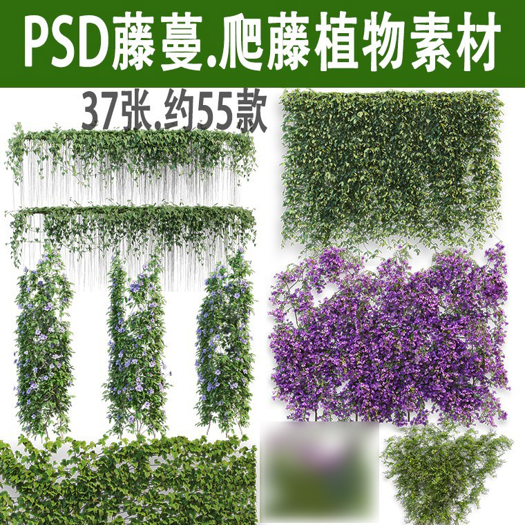 高清PS藤蔓爬藤藤本攀缘攀爬类植物PSD免抠爬山虎景观效果图素材