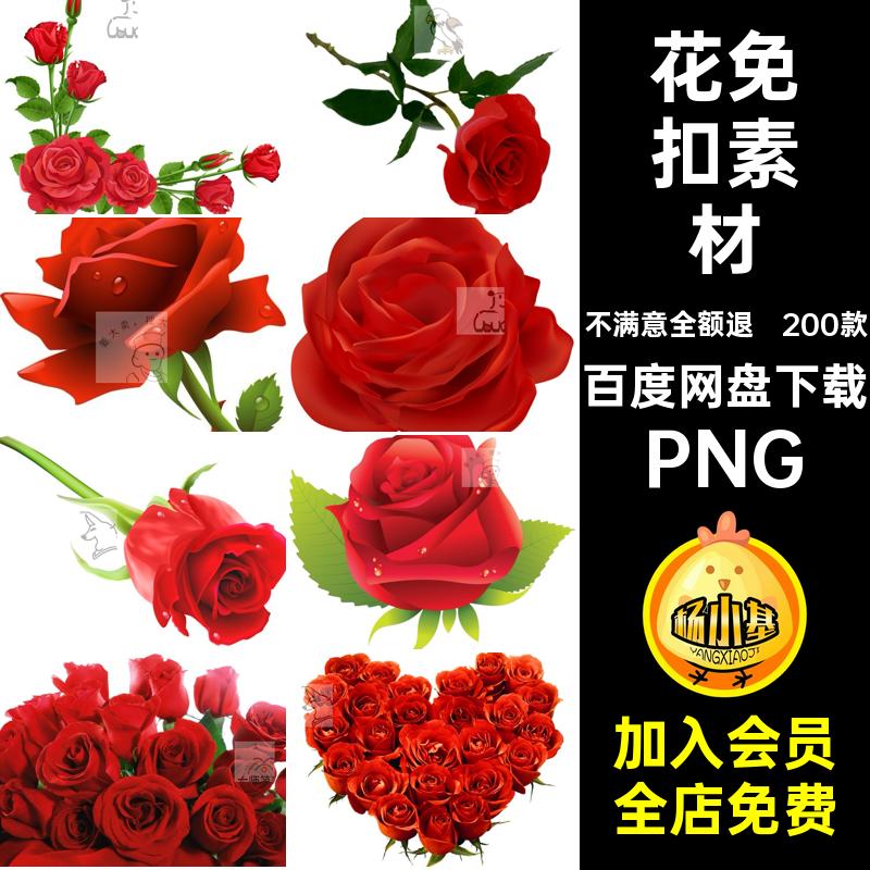 200款玫瑰花朵素材七夕情人节背景粉色PS花束pngPNG免抠红色浪漫