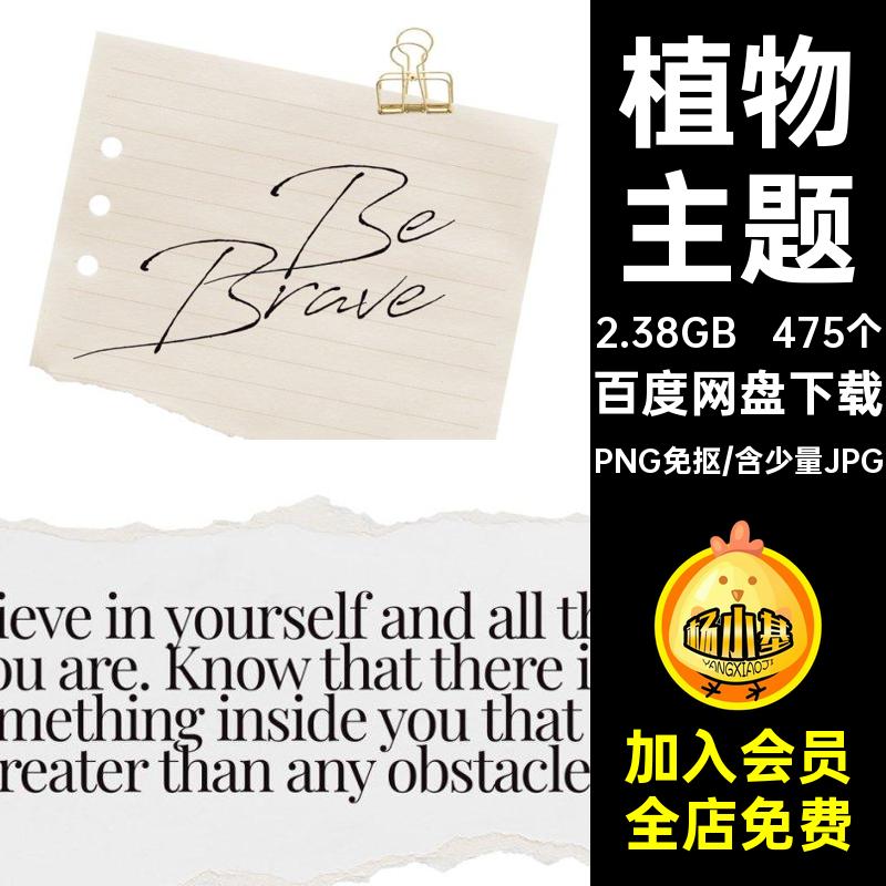 潮流复古自然旅行植物主题现代艺术剪贴拼贴画PNG免抠图片素材