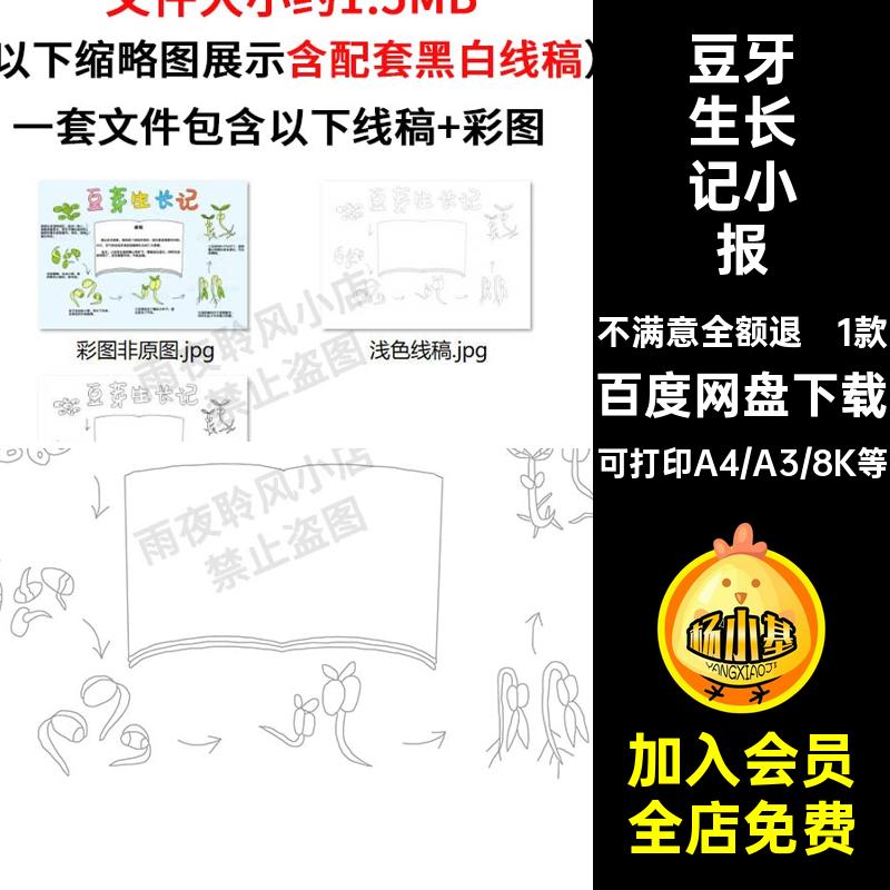 1款豆牙生长记小报抄报植物手记录笔记自然小学生观察日记电子版