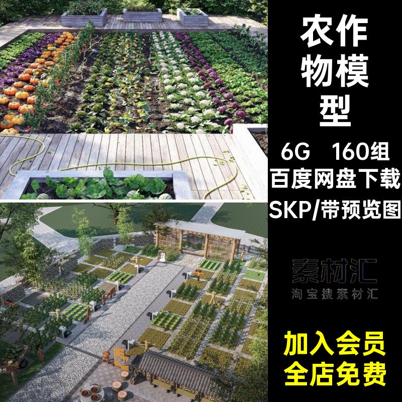 160组小麦玉米植物农作物水箱燕麦农作物植物SU模型菜地大师田园