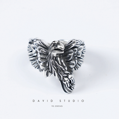 纯银德国小众先锋飞鹰David925