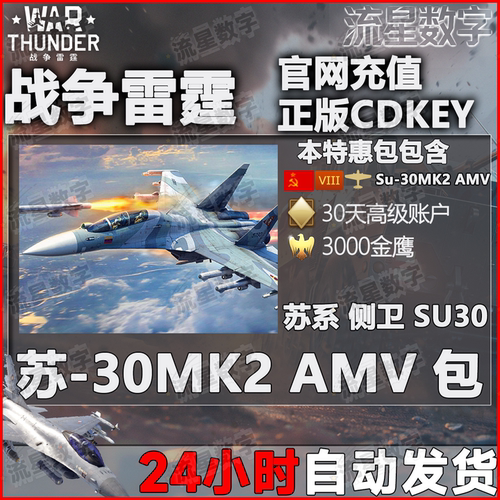 苏系苏30MK2AMVSu30礼包