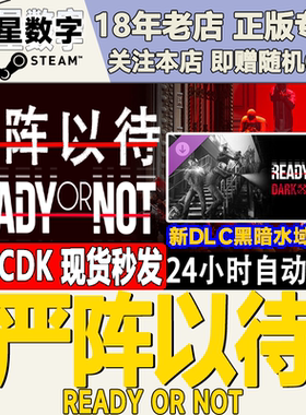 Steam国区正版KEY 严阵以待 严正 Ready or Not暗流涌动 黑暗水域