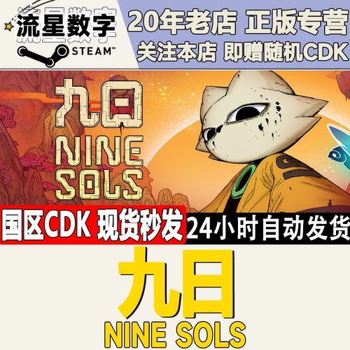 Steam正版九日CDKEY