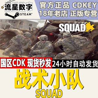 Steam正版国区KEY 战术小队 Squad 激活码现货秒发