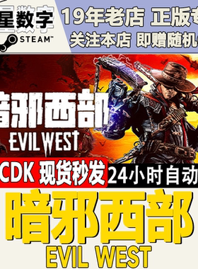 Steam正版暗邪西部国区KEY