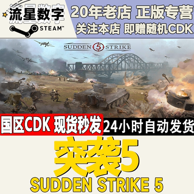 突袭5SuddenStrike5激活码CDK