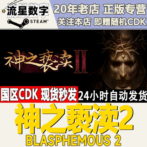 Steam神之亵渎2国区KEY现货