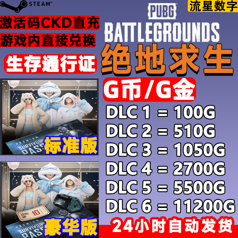 PUBGG币绝地求生G币金币吃鸡gb游戏币皮肤点卷官方充值兑换码CDK