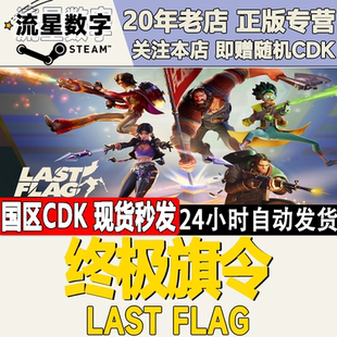 Steam正版国区KEY 终极旗令  Last Flag 激活码CDKEY现货