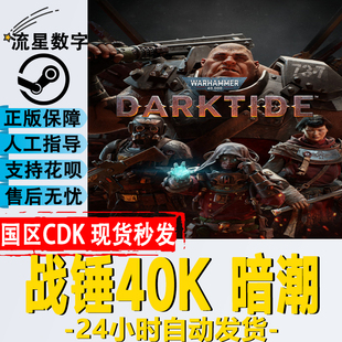 Warhammer40000 Steam正版 国区KEY 战锤40K暗潮 CDK现货 Darktide