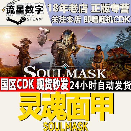 Steam灵魂面甲正版国区KEY现货