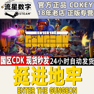 激活码 Steam正版 现货秒发 the 挺进地牢 Gungeon Enter 国区KEY