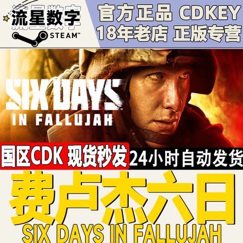 Steam费卢杰六日激活码