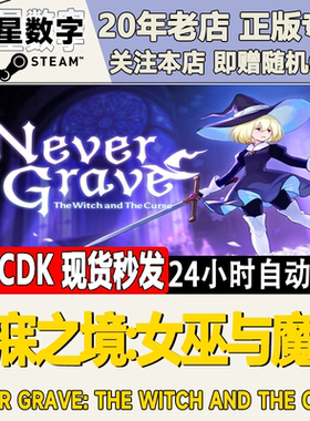 Steam正版国区KEY 不寐之境:女巫与魔咒 Never Grave 激活码CDKEY