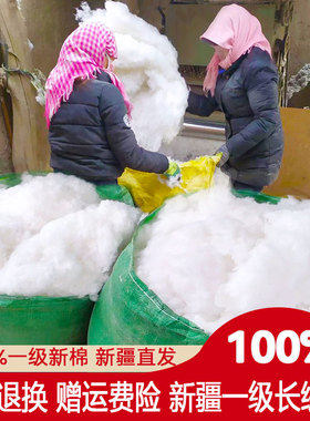 新疆棉花一级长绒原棉纯棉被子芯优质长绒皮棉散装棉絮填充物枕头