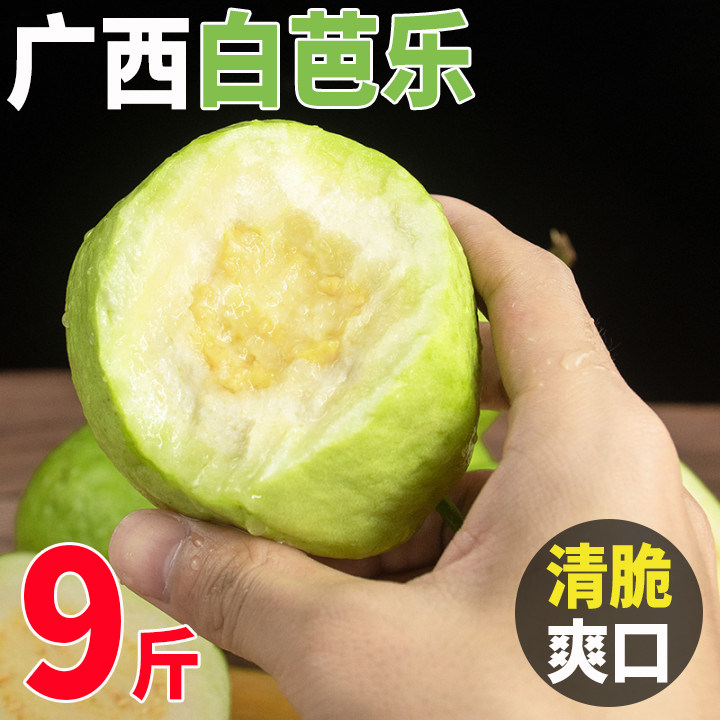 广西番石榴奶油芭乐白心3/5斤