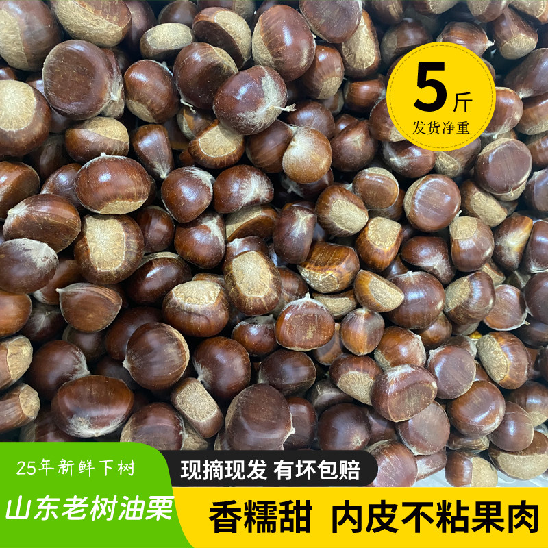 2025山东五莲野生新鲜板栗糯甜山栗子老树油栗子黄心好剥皮笨栗子