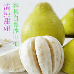 正宗容县沙田柚自良千秋柚子广西特产包邮非梅州长寿桂林沙甜柚子