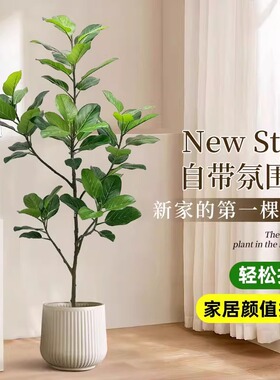 仿真绿植高端轻奢孟加拉榕假绿植高级感客厅装饰室内植物假树摆件