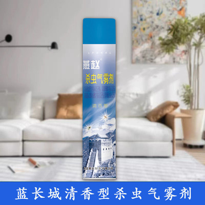 清香型燕赵杀虫气雾剂强效正品速效杀蚊