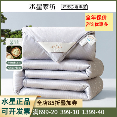 水星家纺青桑·潋影抗菌蚕丝二合一被 蚕丝被四季被子子母被芯1.8