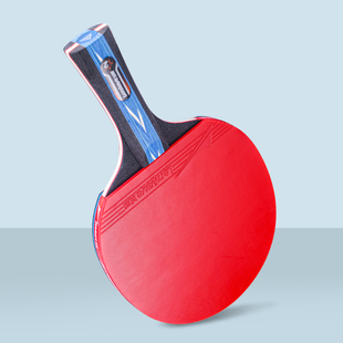 兰威乒乓球拍单拍中小学生训练练习运动健身0302考试比赛专用二星