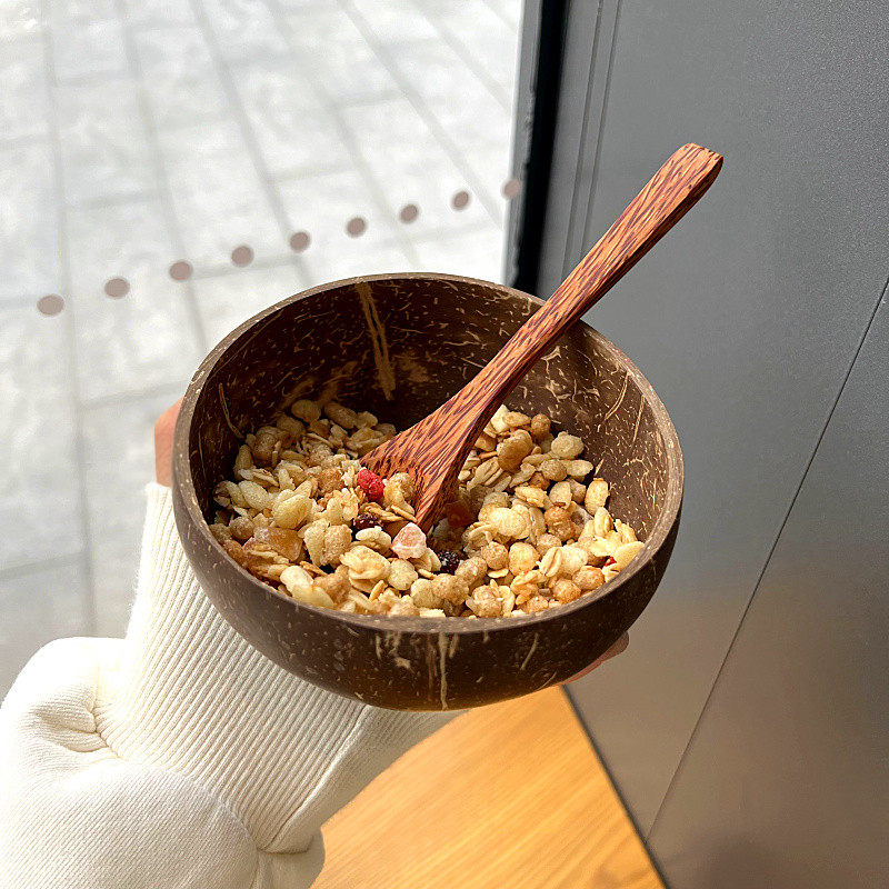 韩国ins博主可爱天然椰子壳小碗纯天然甜品酸奶碗家用麦片沙拉碗