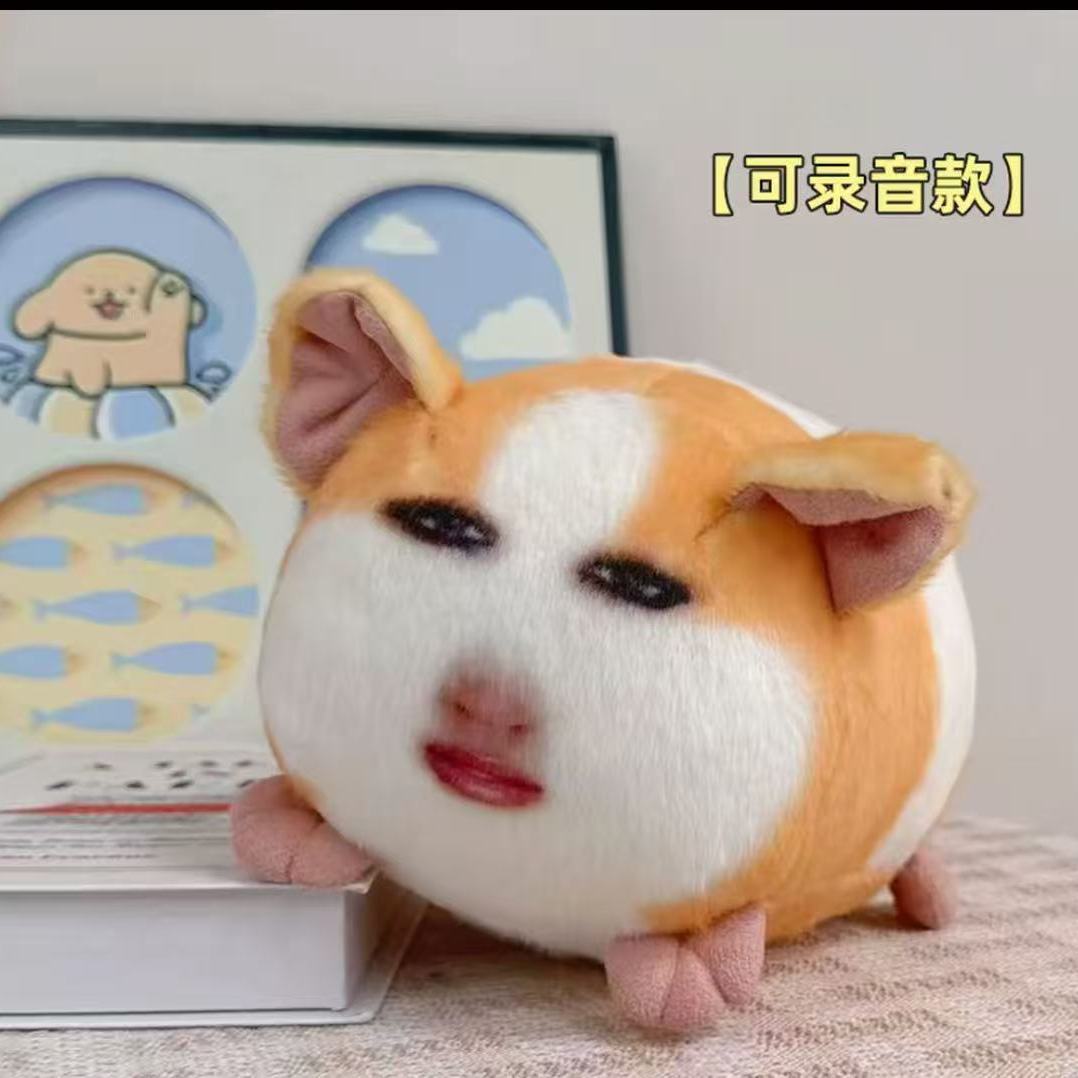 猪妞发声挂件搞怪荷兰猪毛绒公仔可录音说话的月半胖猫表情包玩偶