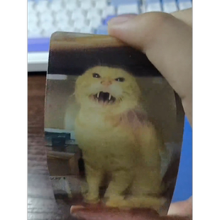 耄耋猫光栅卡猫猫变换明信片卡幻影哈吉马圆头西部菱斑响尾蛇小卡