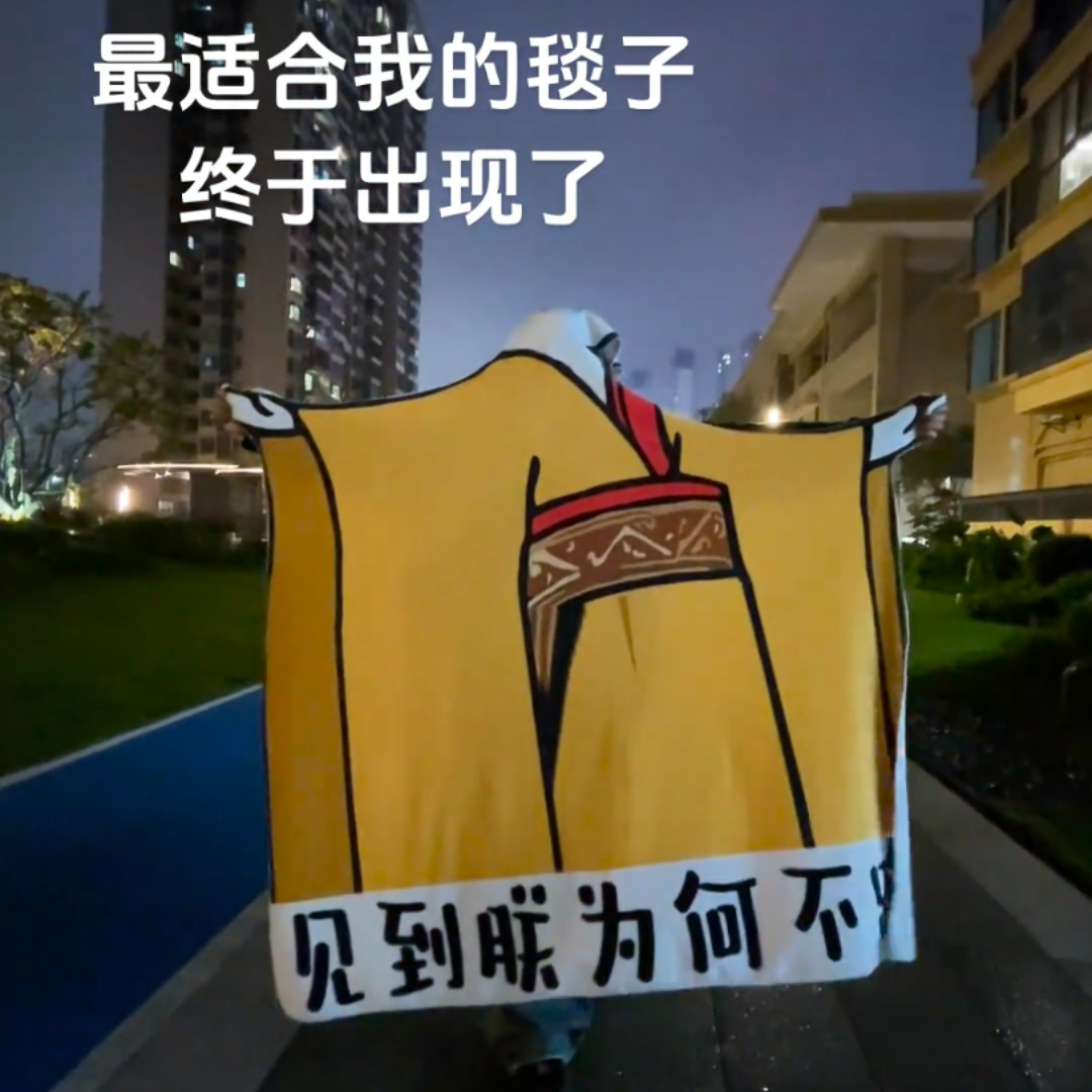 见到朕为何不跪毯子整蛊龙图皇帝午睡午休毯抽象神经法兰绒毛毯