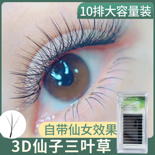 夹心仙子三叶草太阳漫画款仙女款