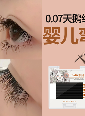 天鹅绒软山茶开花婴儿弯微翘种植嫁接假睫毛漫画太阳花无辜眼水貂