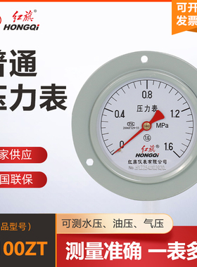 红旗仪表Y100ZT轴向带边压力表真空表