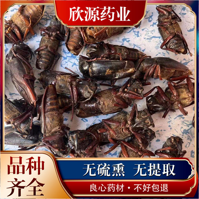天牛中药材水牛八角牛角新货包邮
