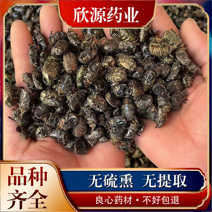 金龟子中药材 地狗子100g克包邮新货有七星瓢虫另售天牛  牛虻虫