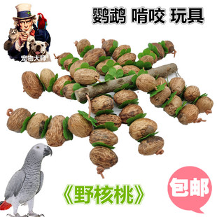 宠物大师鹦鹉玩具鸟大串积木野核桃灰机葵花金刚啃咬玩具 /W0011