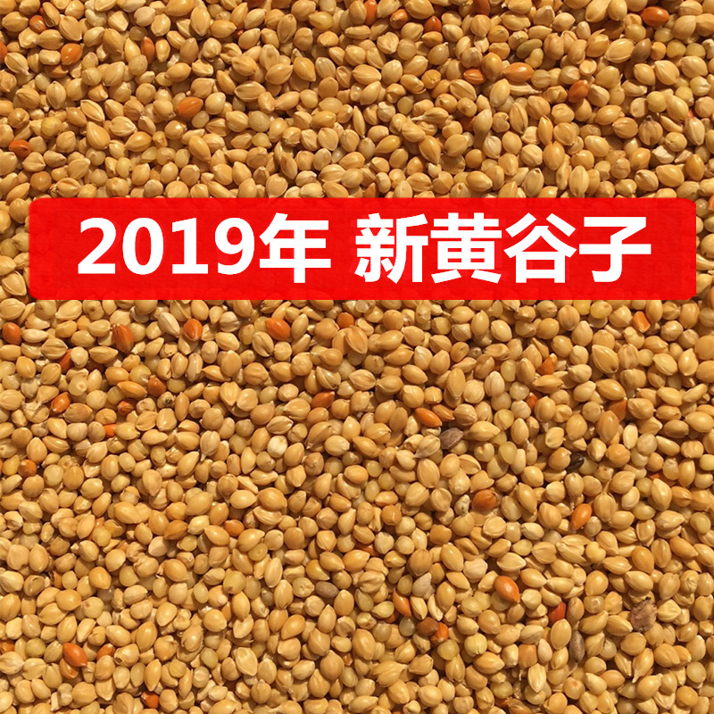 黄谷子饲料鸟食玄凤鸟粮包邮